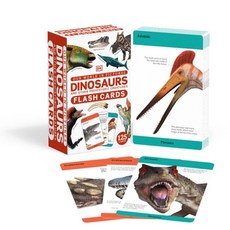 Our World in Pictures Dinosaurs and Other Prehistoric Creatures Flash Cards, Dorling Kindersley Ltd