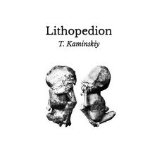(영문도서) Lithopedion Paperback, T. Kaminskiy, English, 9798868923951