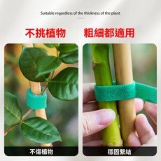 魔術貼綁帶 不傷植物 粗細皆適用, 1個, 熱銷推薦：不挑植物【100公分】可重複使用