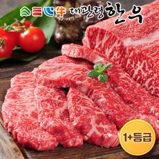 대관령한우 1+(원플러스)등급 소고기 채끝, 600g, 1개