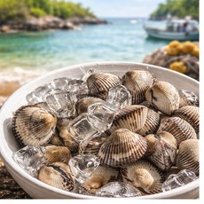 벌교 고품질 제철 여자만 새꼬막 당일조업 산지직송, 1세트, 벌교 새꼬막 3kg (300미 내외)