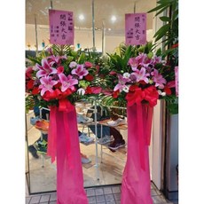 紅色系高架花籃 開幕/榮升/喬遷/會員大會/競選適用 (台北市), 1個