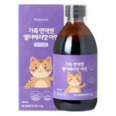 와이즐리 가족면역엔 엘더베리맛 아연, 1개, 280ml