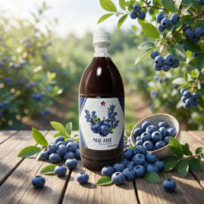 별코리아 계속 찾는 아이스티 원액 아이스티 시럽 1L 1개, 5블루베리 아이스티