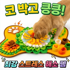 펫퍼센트 강아지 교육 장난감 뼈다귀 꽃밭 노즈워크 매트, 1개, 오렌지 1개, 오렌지