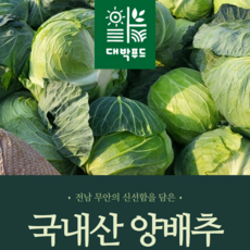 [대박푸드] 국내산 무안 황토 껍질없는 양배추 (1kg 2kg 3kg 6kg) 이내, 1kg, 1박스, 1kg 이내