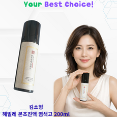 헤밀레 김소형 본초진액 한방 염색약 선명한 새치 보정 KimSohyung Hemile Herbal Medicine Dyeing Solution, 1호 어두운갈색[01 dark brown], 2개