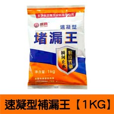 堵漏王 補土修補水泥 屋頂填縫裂縫防水, 1個, 速凝型堵漏王水泥粉【1KG】