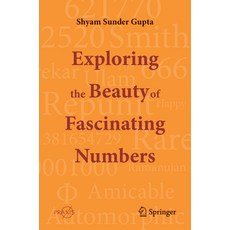 (영문도서) Exploring the Beauty of Fascinating Numbers Paperback, Springer, English, 9789819724642