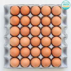 싱싱냠냠 국내산 HACCP 무항생제 신선 무정란 특란, 1박스, 30구