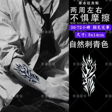 草本果汁紋身貼紙 漸黑半永久紋身 輕鬆打造個性風格, 1個, T7-A1213異形幾何5x14cm