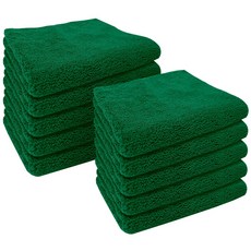 데이즈마켓 프리미엄 FBZ 초극세사 걸레 그린, 10장