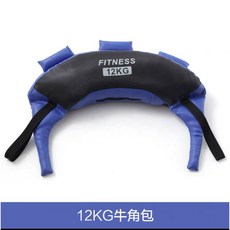 크로스핏 샌드백 격투기 근력운동 10 모래 런지 10kg 런닝 중량밴드 주머니, 12kg