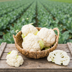 아삭탱글 콜리플라워 국내산 슈퍼푸드 컬리플라워, 2kg(2~4개), 1박스