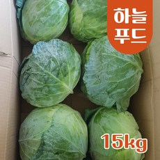 (15kg/Box) 수입 양배추 식자재[원산지:중국], 1박스, 수입양배추 15kg