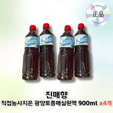 진매향 직접농사지은 광양토종매실원액 매실액 매실청 매실액기스 3년숙성, 4개, 900g