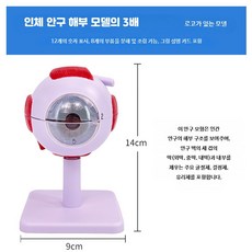 안구 모형 모델 안과 인체 교육용 확대 구조 교구 해부학 눈, 1개, 3배 확대된 안구 - 12개의 숫자 표시