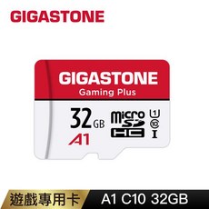 GIGASTONE Gaming Plus A1 32GB 遊戲專用記憶卡, 1個, 1GB