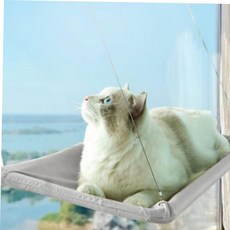 해먹 흡착 휴식 창문 튼튼한 고양이 거치대 59000EA 1EA, 본상품