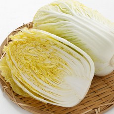 특품 국내산 알배기배추 쌈배추 당일경매, 1개, 1.5kg