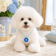 이쿠이칸 강아지 고양이 공용 목걸이 반려동물 악세사리HJCWXL2250, 1개, 블루 1개, 블루