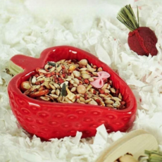 피그미 다람쥐 햄스터 소동물 고급 세라믹 급식기, 1개, 레드