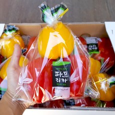 컬러푸드 파프리카 색상혼합 3개입, 1개, 파프리카 3개입