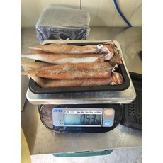 부드럽고 쫄깃한 급냉 한치, 500g x 1박스