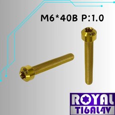 ROYAL 鈦合金螺絲 M6*40F P:1.0 飛碟頭螺絲, 1個