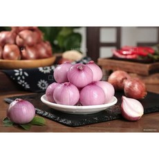 신기원중국식품 모충 샬롯 미니양파 1KG, 3개