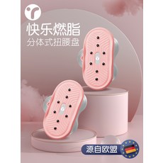 분체식 허리틀림판 다이어트 운동기구 가정용 신기 무음 댄스판 비틀림 헬스기구 허리빼기 기계, 04. 앰버그린【헬스 마스터 추천】