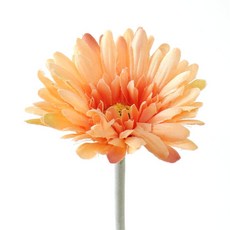 하우스픽 성묘조화 피어나 거베라 조화 피치 인테리어 꽃장식용