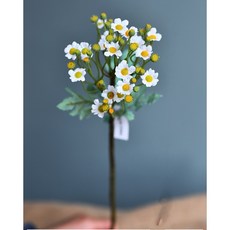 가팡 드라이플라워 DRYE008 국화, 화이트 04번