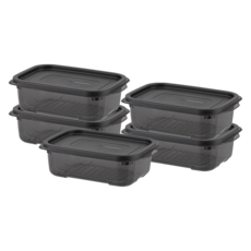 이지앤프리 블랙킵 에디션 냉장고 정리 용기 750ml, 5개입, 1세트