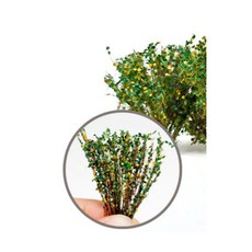 군사 미니어처 디오라마 모델 장면 만들기 모래 테이블 빌딩 DIY 재료 관목 잔디 식물 규모, 1개