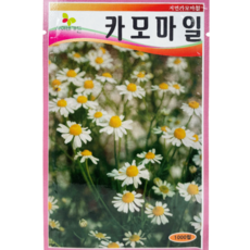 식물의집 카모마일 허브씨앗 씨, 1개