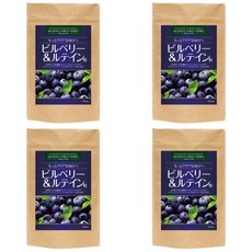 서플리먼트 가든 블루베리 안토시아닌 영양제 360정 북유럽산 고함량, 4개, 60정