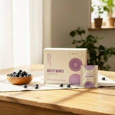 THEJOEUN 베리굿 빌베리, 100정, 1개