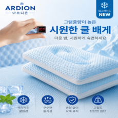 아르디온 냉감 여름쿨 경추베개 쿨베게 초통기성 수면베개, 1개, 블루