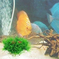 은신처 어항꾸미기 수초 열대어 인조 그린 55834pc 1(PC)