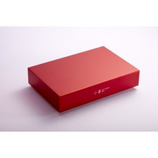 有現貨 HOLO Audio RED 赤 網絡播放器 數字播放器 115V