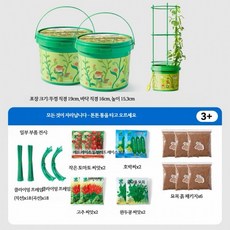 식물키우기 관찰키트 과학실험 화분놀이세트 재배 키트 버킷 세트 미니 텃밭 가꾸기 홈가드닝, 버킷 2개 씨앗 포함
