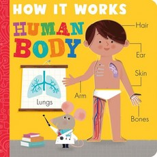 How It Works: Human Body, Tiger Tales