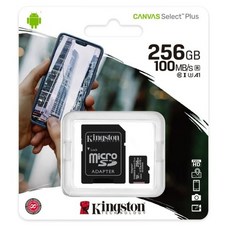Kingston 金士頓 新版 Canvas Select Plus microSDXC 256G記憶卡 高速傳輸 擴充容量, 1個, 256GB