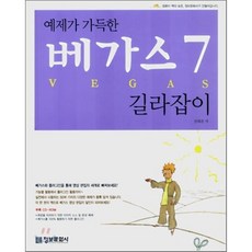 예제가 가득한 베가스 7 길라잡이, 정보문화사