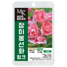 모칸도 좋은씨앗 장미봉선화 씨앗 핑크 10립 꽃씨 꽃씨앗, 1개