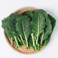 쌈용 즙용 케일 1kg, 1개