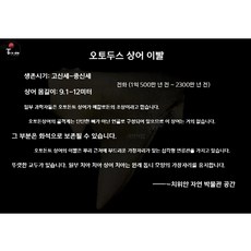 고대 상어 메갈로돈 이빨 화석 실물 표본 전시 수집용 해양 화석, ECS 무작위 스타일