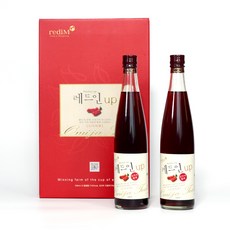 [수지누리식품] 문경 레드인 오미자청 500ml x2병 세트 오미자 원액 엑기스 명절 단체 선물세트, 단품
