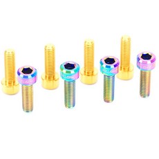 RISK TC4鈦合金螺絲 M6x18mm 曲柄鎖死螺絲 自行車鈦合金螺絲, 鈦色, 1個